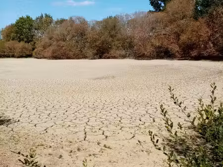 terrain de loisirs