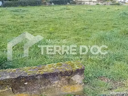 terrain 393 m² mazamet