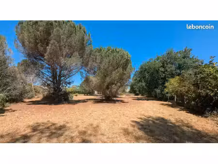 terrain à bâtir exceptionnel 1656 m² avec puits - saint-sulpice-la-pointe