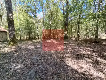 propriété 1 pièce 35 m²