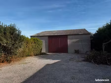 hangar agricole avec paturage