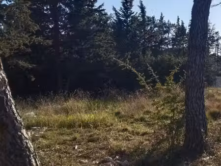 terrain 495 m² la bastide des jourdans