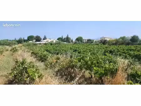 terrain à bâtir de 927 m² à mazan (84)