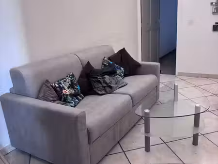 appartement 4 pièces coeur carreterie