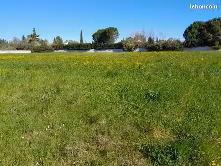 terrain 600 m² l isle sur la sorgue