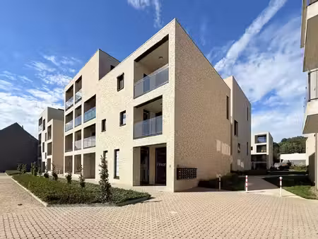 polares - your way to real estate
