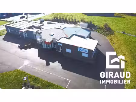 immobilier professionnel à vendre la châtaigneraie