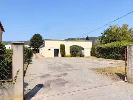 vente local d’activités 602m²
