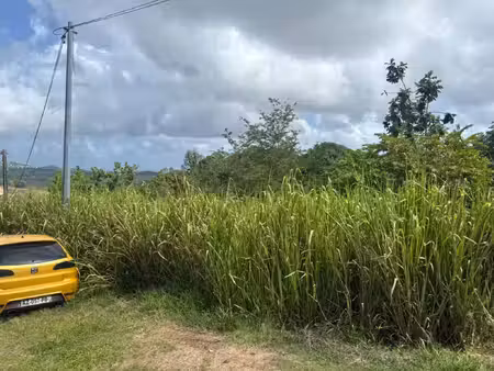 terrain à vendre le robert 593m2 75 000€