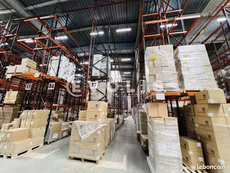 local industriel 6 863 m²