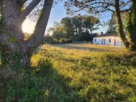 vente terrain à saint-hilaire-de-riez (85270) : à vendre / saint-hilaire-de-riez