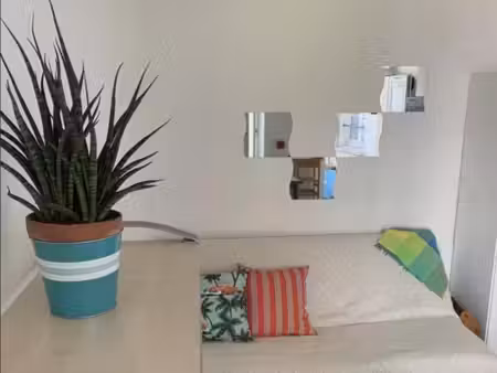 appartement 1 pièce 17 m²