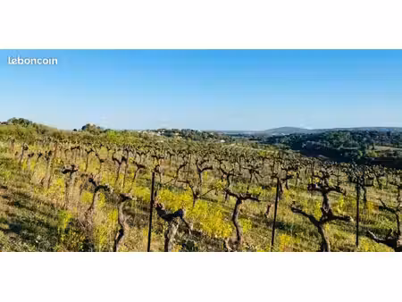 terrain agricole
