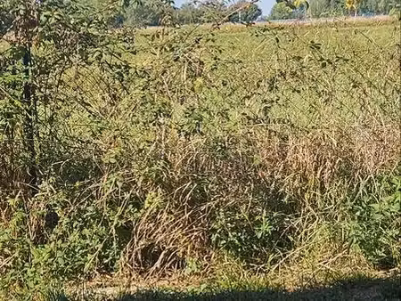 je cherche maison avec jardin par location-vente
