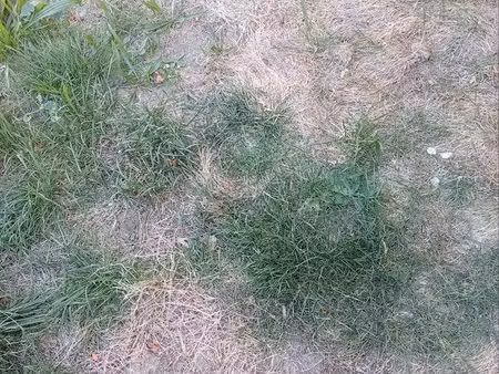 terrain non constrible