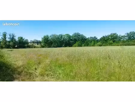 terrain de loisir boisé avec ruisseau