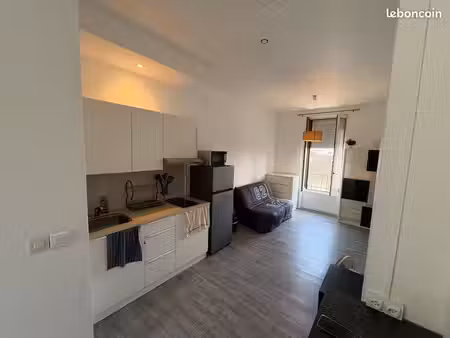charmant studio villeurbanne