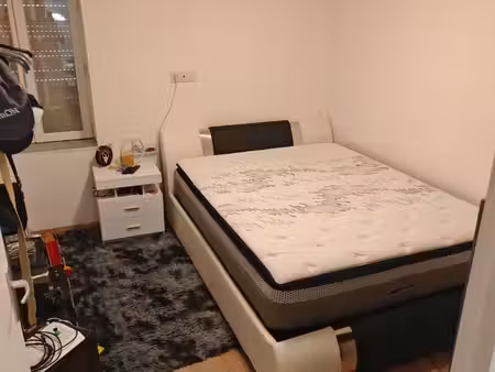 maison 55m plan pied