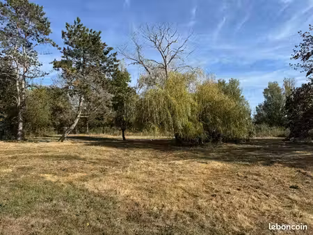 terrain de 3 200 m² à disposition pour animaux