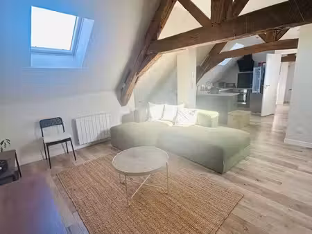 magnifique t2 meublé rénové avec cachet – 53 m² au sol – bourg d’olivet