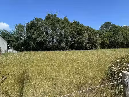 terrain 439m2