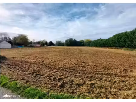 terrain constructible