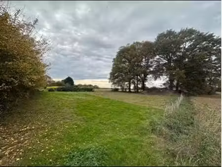 terrain eau électricité