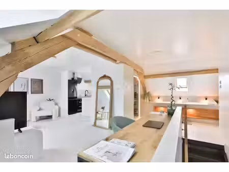 loft d'exception avec spa privatif et sauna – 73 m² au sol – belfort