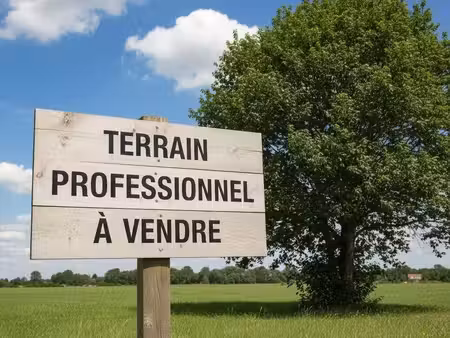 terrain 25474 m² la roche-sur-yon