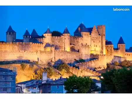 vente commerce dans la cité médiévale  emplacement n°1