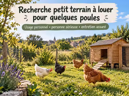 recherche petit terrain à louer pour quelques poules
