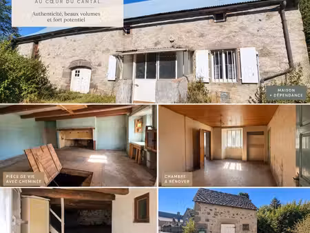 maison beaux volumes à rénover