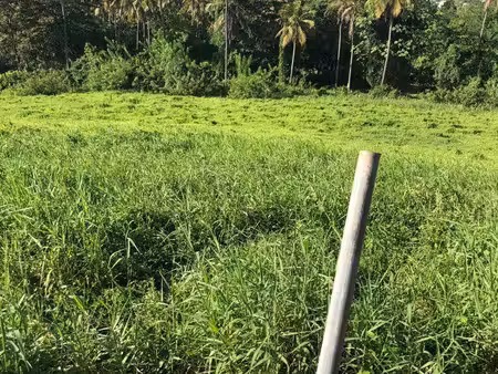 vends terrain 2654m2 à ducos