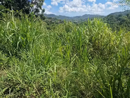 terrain 568 m² le vauclin