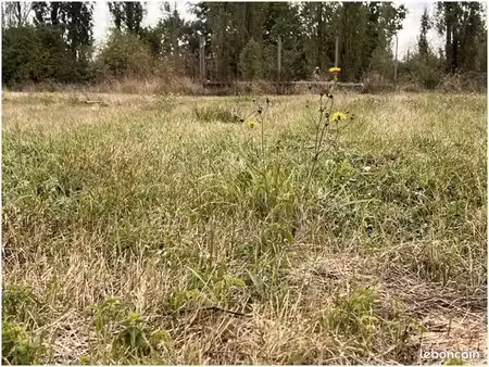 terrain à bâtir de 2235 m2 au prix de 55000 à agris (16)