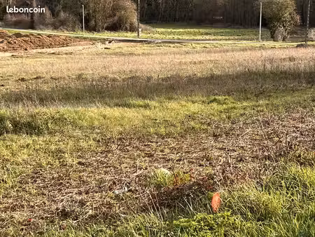 terrain à bâtir de 601 m2 au prix de 39000 à anais (16)