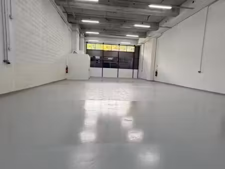 local d'activité 310 m²