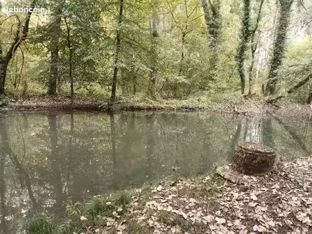 terrain de loisirs