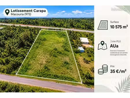 vente terrain carapa