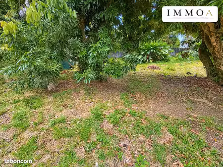 terrain 587 m² sainte-anne