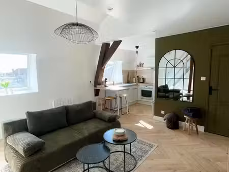 superbe duplex rénové - centre ville de dijon - 35m2 au sol