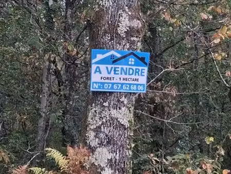foret 1 hectare a lacaud piegut bussieres busserolles 24360