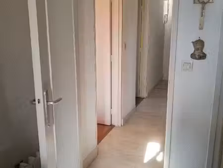 appartement 45m2