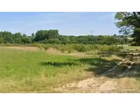 a vendre - terrain agricole - plat - arboré sur chantemerle-les-blés