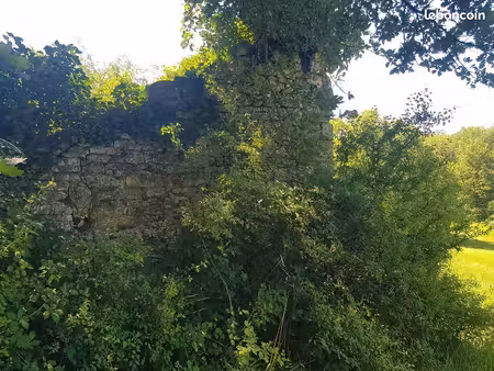 terrain de 22 hectares avec ruine de pierre