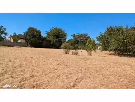 terrain 1000 m2