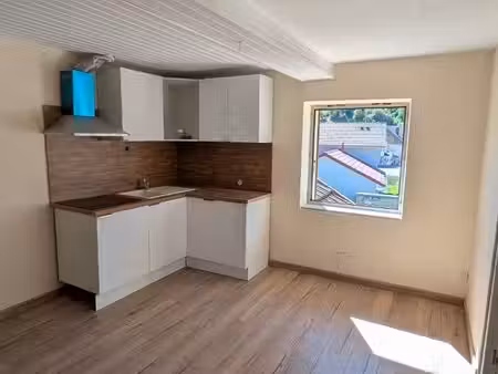 t2 rénové 30 m² avec jardin et vue vallée – idéal frontalier – châtelblanc