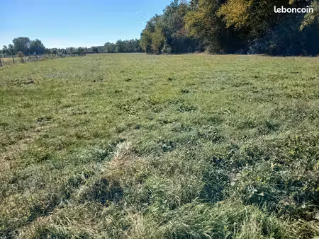 herbage 1/2 hectare