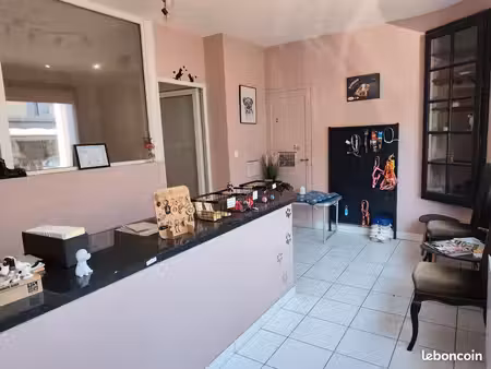 local professionnel 50m2 à louer