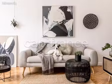 appartement - 1 pièce - rf9-29761
